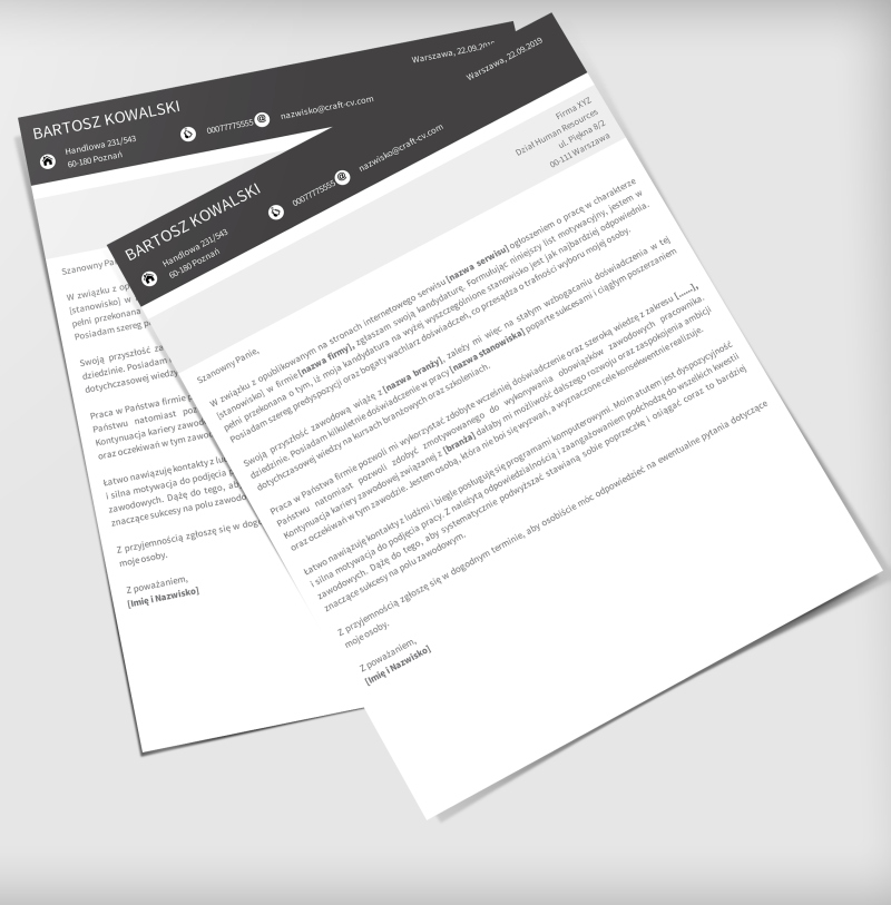 cv programista